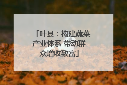 叶县：构建蔬菜产业体系 带动群众增收致富