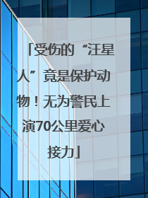 受伤的“汪星人”竟是保护动物！无为警民上演70公里爱心接力