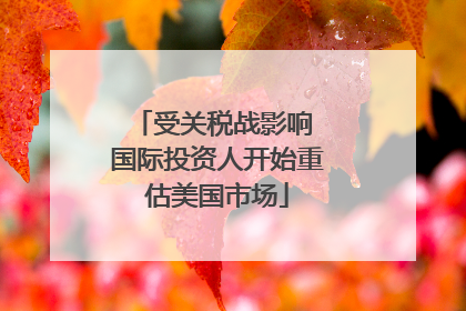 受关税战影响 国际投资人开始重估美国市场