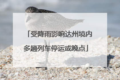 受降雨影响达州境内多趟列车停运或晚点