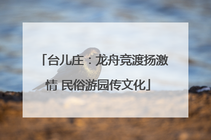 台儿庄：龙舟竞渡扬激情 民俗游园传文化