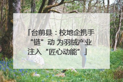 台前县：校地企携手“链”动 为羽绒产业注入“匠心动能”