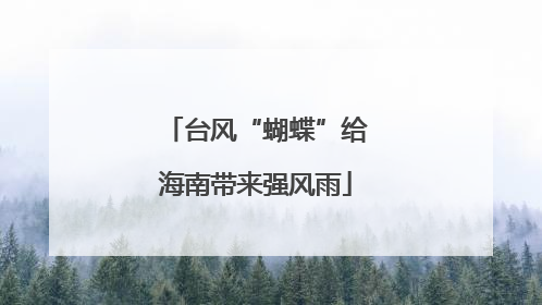 台风“蝴蝶”给海南带来强风雨