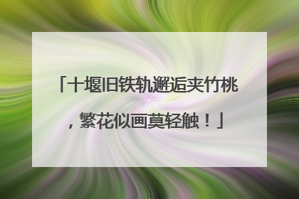 十堰旧铁轨邂逅夹竹桃，繁花似画莫轻触！
