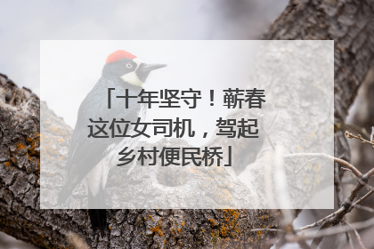 十年坚守！蕲春这位女司机，驾起乡村便民桥