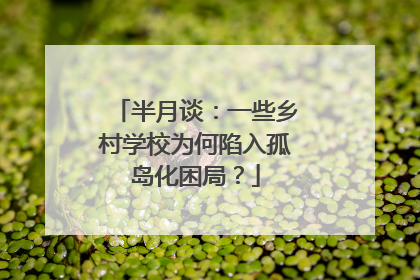 半月谈：一些乡村学校为何陷入孤岛化困局？