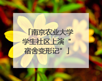 南京农业大学学生社区上演“宿舍变形记”