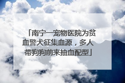 南宁一宠物医院为贫血警犬征集血源，多人带狗狗前来抽血配型