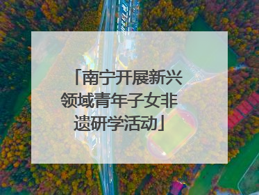 南宁开展新兴领域青年子女非遗研学活动