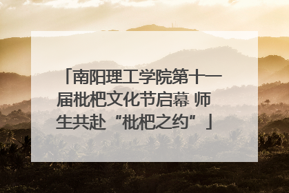 南阳理工学院第十一届枇杷文化节启幕 师生共赴“枇杷之约”
