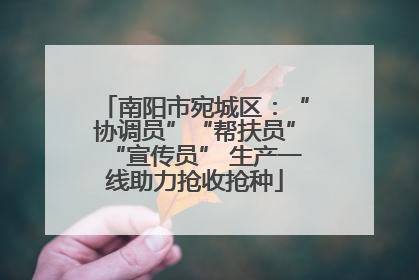 南阳市宛城区：“协调员”“帮扶员”“宣传员” 生产一线助力抢收抢种
