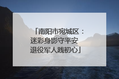 南阳市宛城区：迷彩身影守平安 退役军人践初心