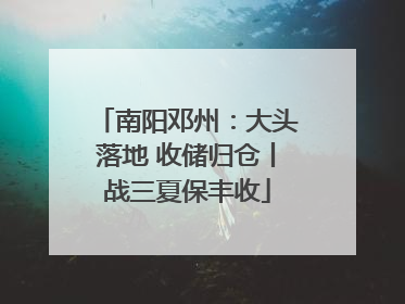 南阳邓州：大头落地 收储归仓丨战三夏保丰收