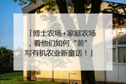 博士农场+家庭农场，看他们如何“薯” 写有机农业新童话！