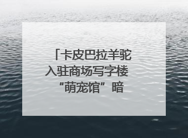 卡皮巴拉羊驼入驻商场写字楼 “萌宠馆”暗藏哪些隐患？