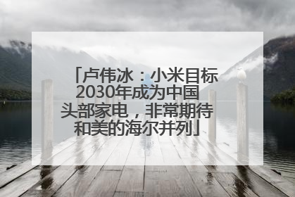 卢伟冰：小米目标2030年成为中国头部家电，非常期待和美的海尔并列
