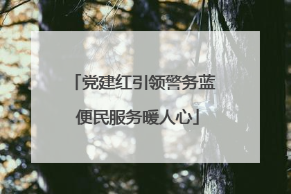 党建红引领警务蓝 便民服务暖人心