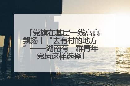 党旗在基层一线高高飘扬丨“去有村的地方”——湖南有一群青年党员这样选择