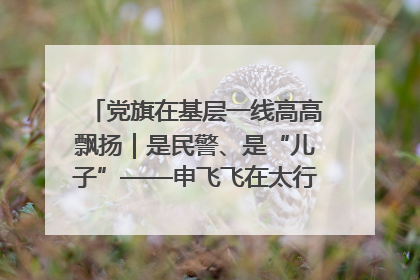 党旗在基层一线高高飘扬｜是民警、是“儿子”——申飞飞在太行山中的一线坚守