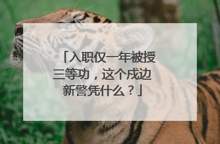 入职仅一年被授三等功，这个戍边新警凭什么？