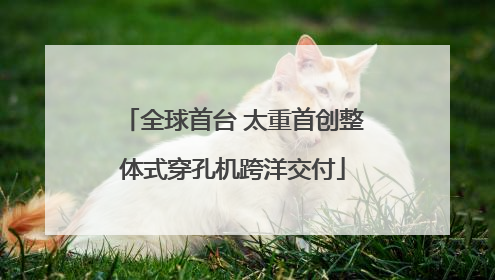 全球首台 太重首创整体式穿孔机跨洋交付