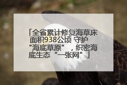 全省累计修复海草床面积938公顷 守护“海底草原”，织密海底生态“一张网”