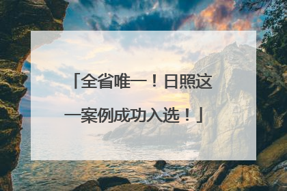 全省唯一！日照这一案例成功入选！