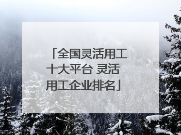全国灵活用工十大平台 灵活用工企业排名