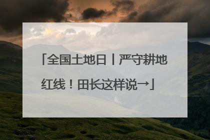 全国土地日丨严守耕地红线！田长这样说→