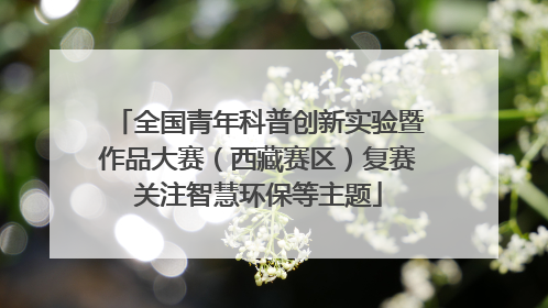 全国青年科普创新实验暨作品大赛（西藏赛区）复赛关注智慧环保等主题