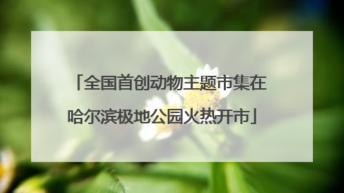 全国首创动物主题市集在哈尔滨极地公园火热开市