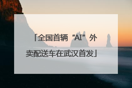 全国首辆“AI”外卖配送车在武汉首发