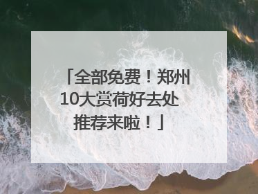 全部免费！郑州10大赏荷好去处推荐来啦！