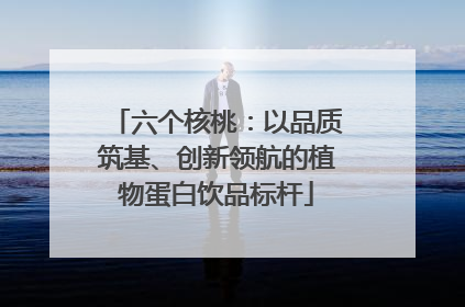 六个核桃：以品质筑基、创新领航的植物蛋白饮品标杆