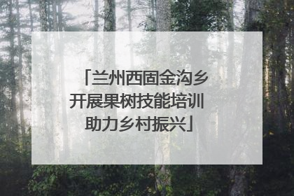 兰州西固金沟乡开展果树技能培训 助力乡村振兴