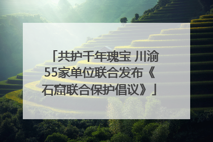 共护千年瑰宝 川渝55家单位联合发布《石窟联合保护倡议》