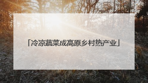 冷凉蔬菜成高原乡村热产业