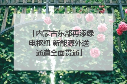 内蒙古东部再添绿电枢纽 新能源外送通道全面贯通