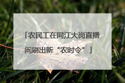农民工在同江大岗直播间刷出新“农时令”