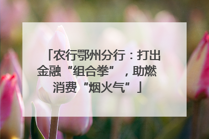 农行鄂州分行:打出金融“组合拳”,助燃消费“烟火气”