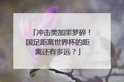 冲击美加墨梦碎！国足距离世界杯的距离还有多远？