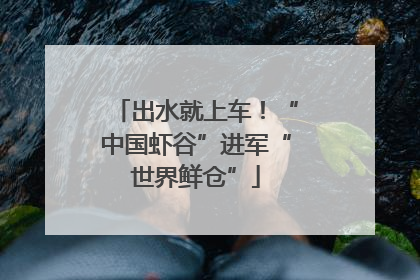 出水就上车!“中国虾谷”进军“世界鲜仓”