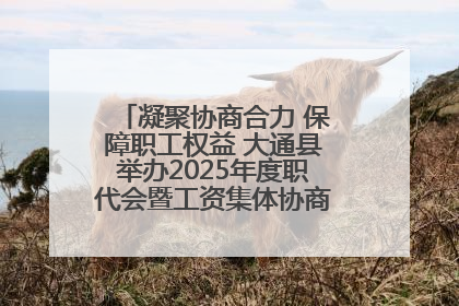 凝聚协商合力 保障职工权益 大通县举办2025年度职代会暨工资集体协商现场观摩交流活动