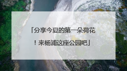 分享今夏的第一朵荷花！来杨浦这座公园吧