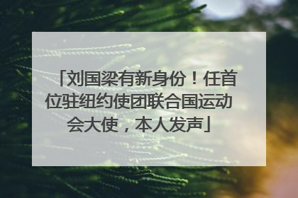 刘国梁有新身份！任首位驻纽约使团联合国运动会大使，本人发声