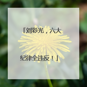 刘彩光，六大纪律全违反！