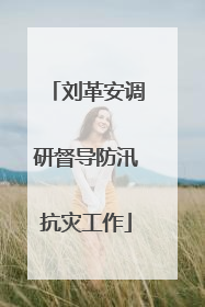 刘革安调研督导防汛抗灾工作