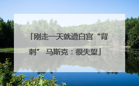 刚走一天就遭白宫“背刺” 马斯克：很失望
