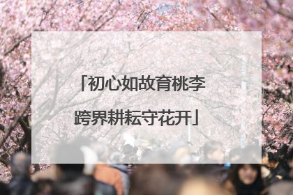 初心如故育桃李 跨界耕耘守花开