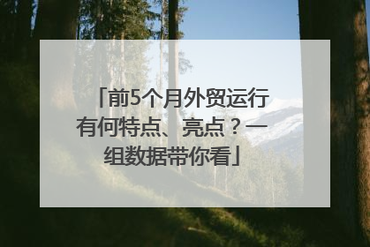 前5个月外贸运行有何特点、亮点？一组数据带你看